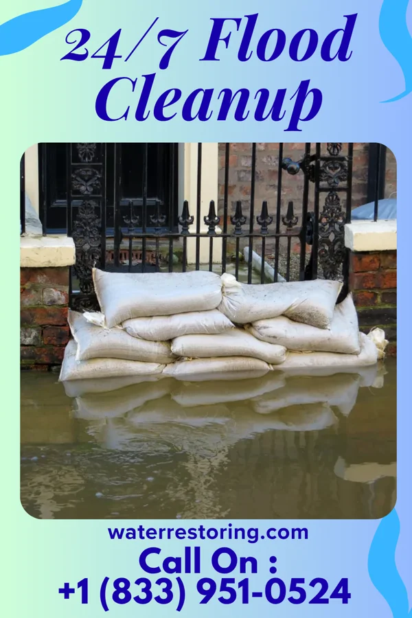 24/7 Flood Cleanup in The Galena Territory, IL