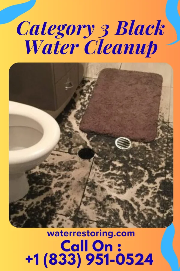 Category 3 Black Water Cleanup in The Galena Territory, IL