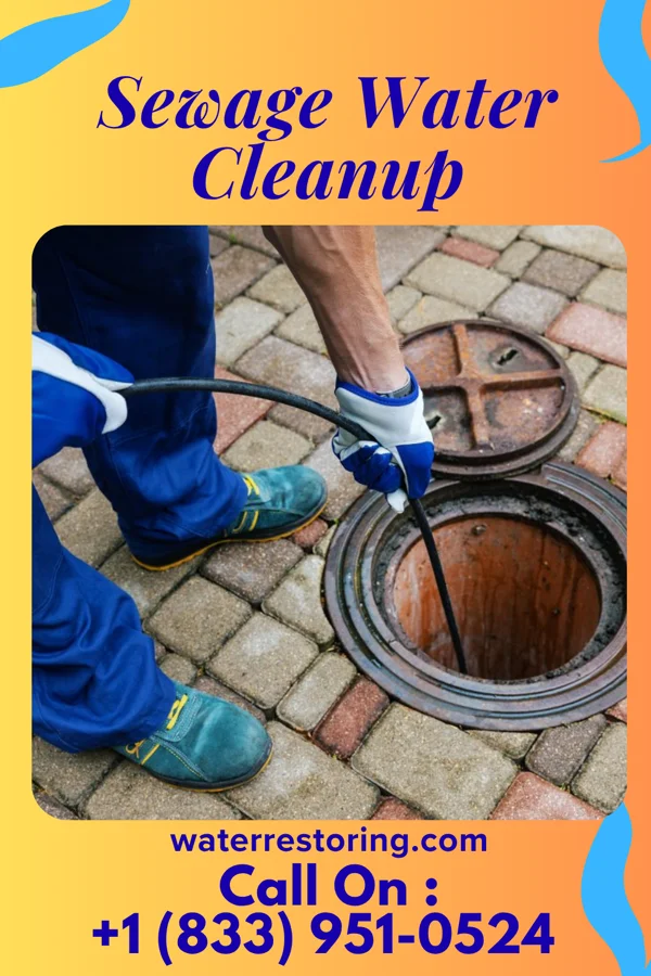 Sewage Water Cleanup in The Galena Territory, IL
