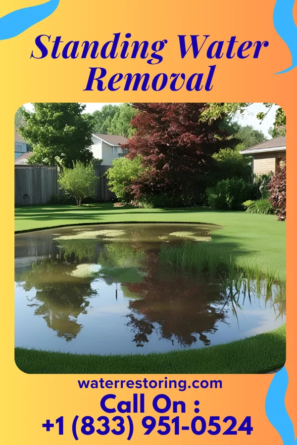 Standing Water Removal in The Galena Territory, IL